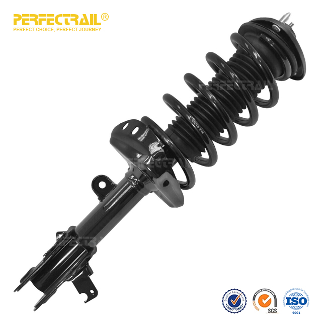 PERFECTRAIL® 172541 172542 Conjunto de puntal automático y resorte helicoidal para Honda Odyssey 2008-2010