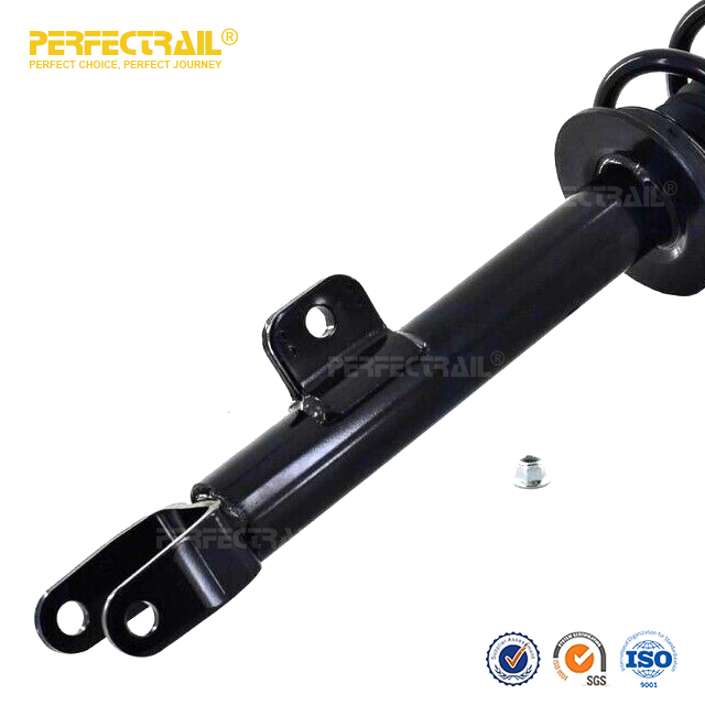 PERFECTRAIL® 572665 Conjunto de puntal de suspensión delantera automática y resorte helicoidal para Chrysler 300 2011-2012