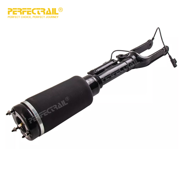 Amortiguador de choque de la suspensión del aire del frente 2513203113 para Mercedes Benz R-CLASS W251