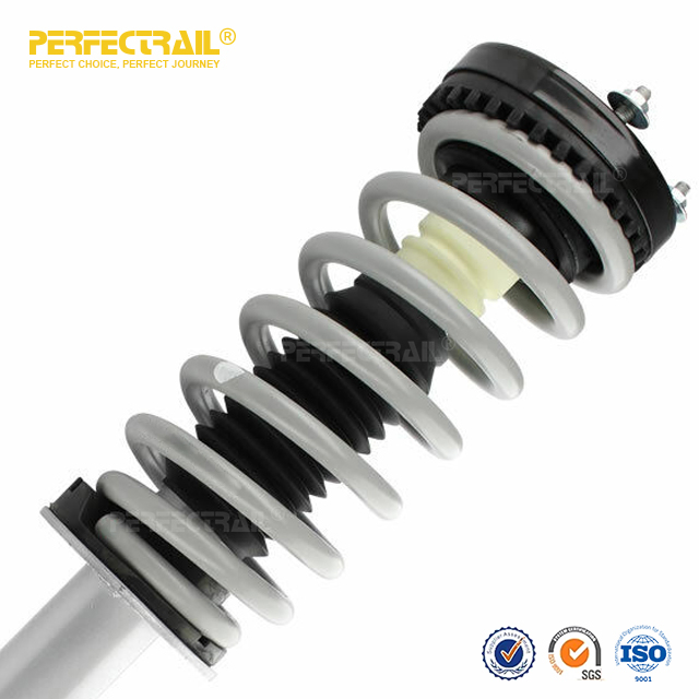 PERFECTRAIL® 172408 Conjunto de puntal de suspensión delantera automática y resorte helicoidal para Dodge Charger 2006-2010