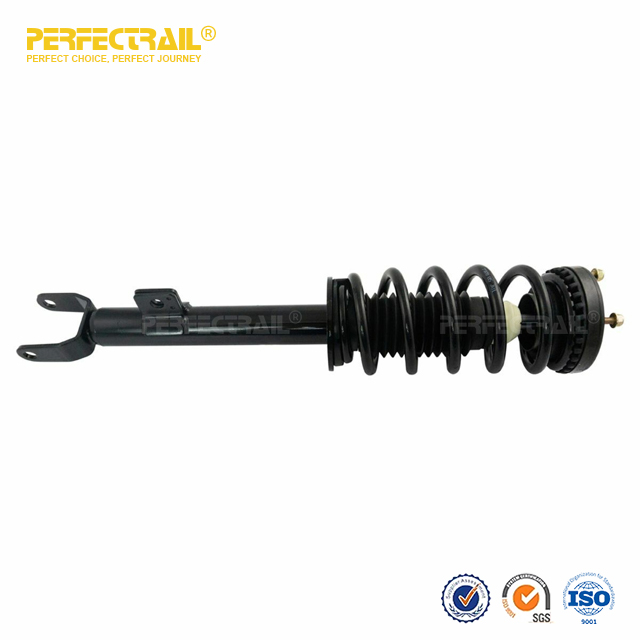 PERFECTRAIL® 672665 Conjunto de puntal de suspensión delantera automática y resorte helicoidal para Chrysler 300 2011-2018