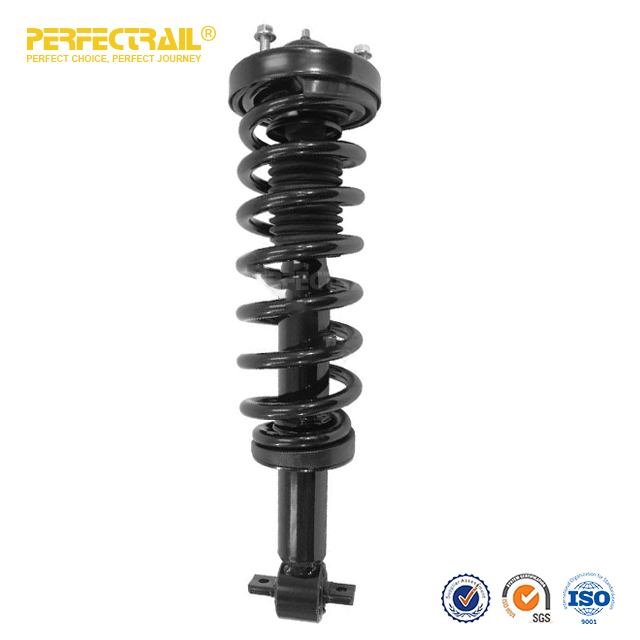 PERFECTRAIL® 173031L 173031R Auto Strut and Coil Spring Assembly para Ford F150 2015-2017