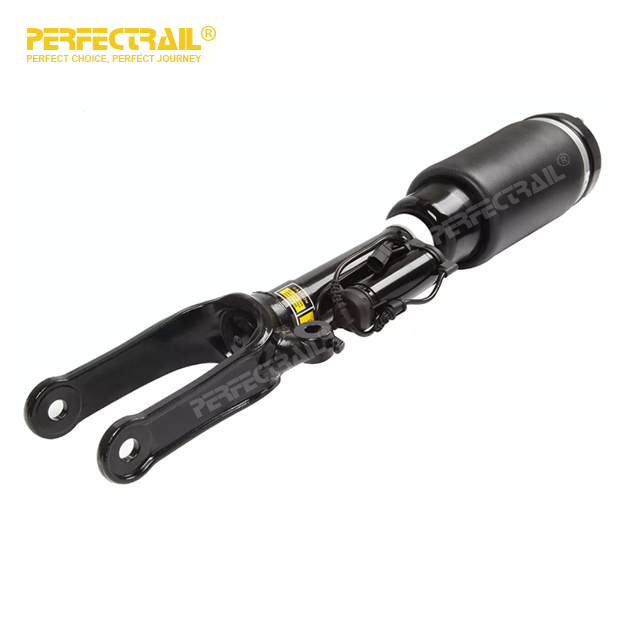 Amortiguador de choque de la suspensión del aire del frente 2513203113 para Mercedes Benz R-CLASS W251