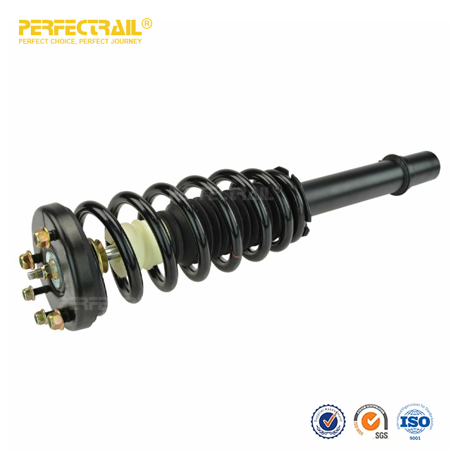 PERFECTRAIL® 172123L 172123R Auto Strut and Coil Spring Assembly para Honda Accord 2003-2007