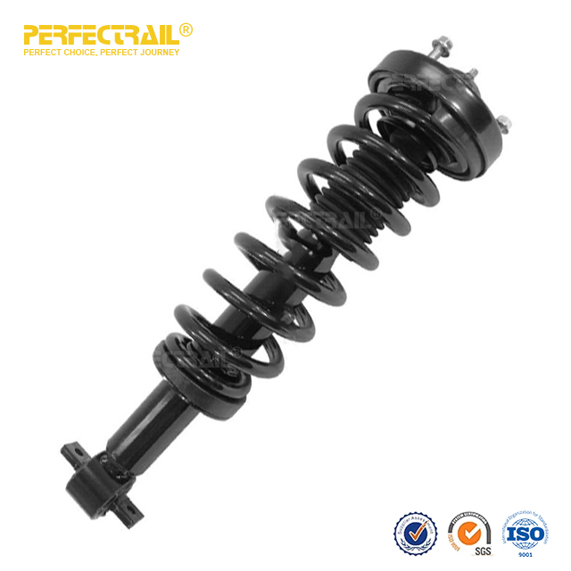 PERFECTRAIL® 173031L 173031R Auto Strut and Coil Spring Assembly para Ford F150 2015-2017