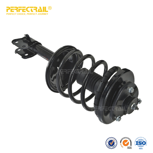 PERFECTRAIL® 172974 172975 Conjunto de puntal automático y resorte helicoidal para Honda Pilot 2006-2008