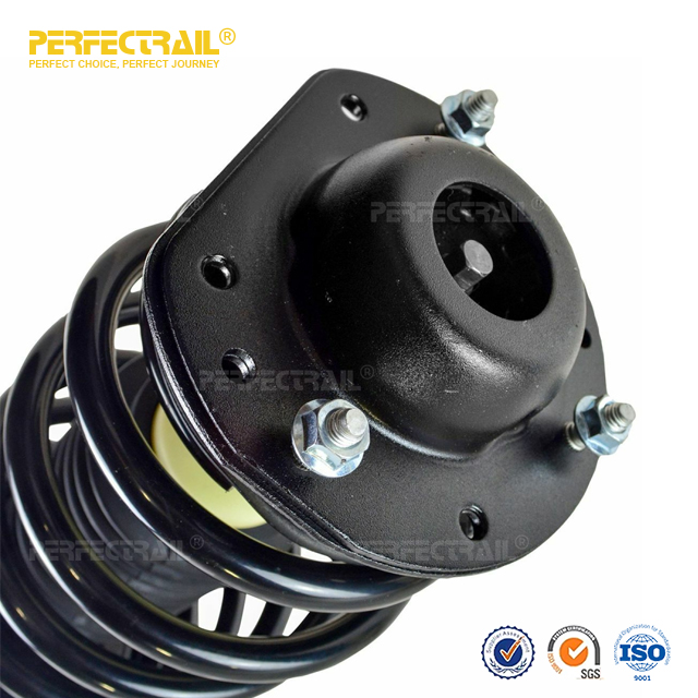 PERFECTRAIL® 172179L 172179R Suspensión delantera automática y conjunto de muelle helicoidal para Pontiac Pursuit 2005-2006