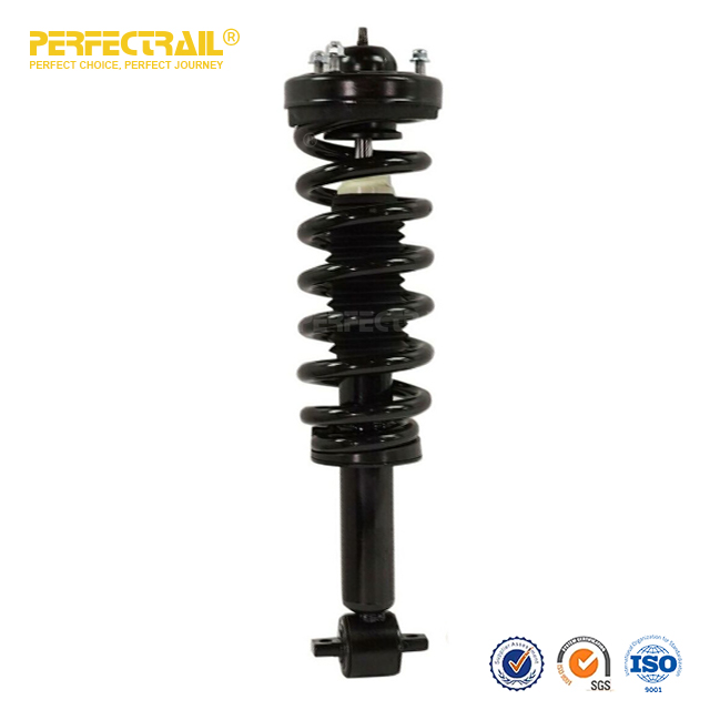 PERFECTRAIL® 172652L 172652R Auto Strut and Coil Spring Assembly para Ford F150 2014-
