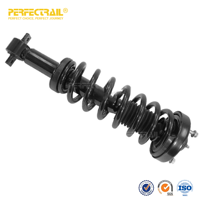 PERFECTRAIL® 173031L 173031R Auto Strut and Coil Spring Assembly para Ford F150 2015-2017