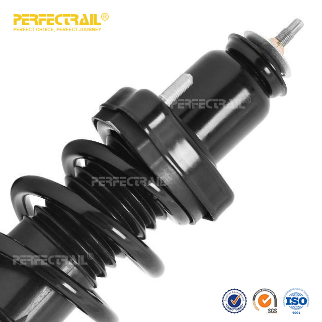 PERFECTRAIL® 15550 Suspensión delantera automática y ensamblaje de resorte helicoidal para Dodge Journry 2009-2010