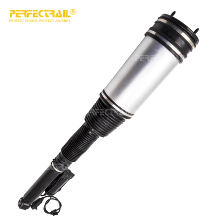 2203205013As Conjunto de amortiguadores de aire trasero para Mercedes Benz S-Class W220