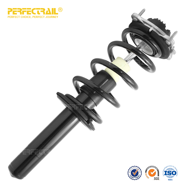 PERFECTRAIL® 11375 11376 Conjunto de puntal de amortiguador de impacto delantero de automóvil para BMW X5 2000-2006