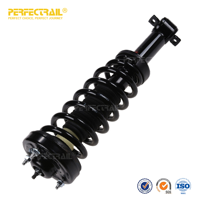 PERFECTRAIL® 172651L 172651R Auto Strut and Coil Spring Assembly para Ford F150 2014-