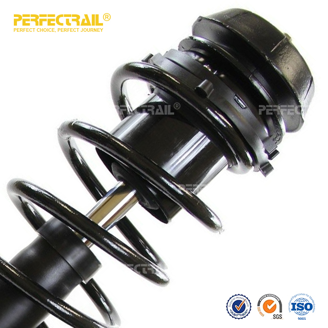 PERFECTRAIL® 171555 171556 Conjunto de puntal de suspensión delantera y resorte helicoidal automático para Saturn L100 2001-2002