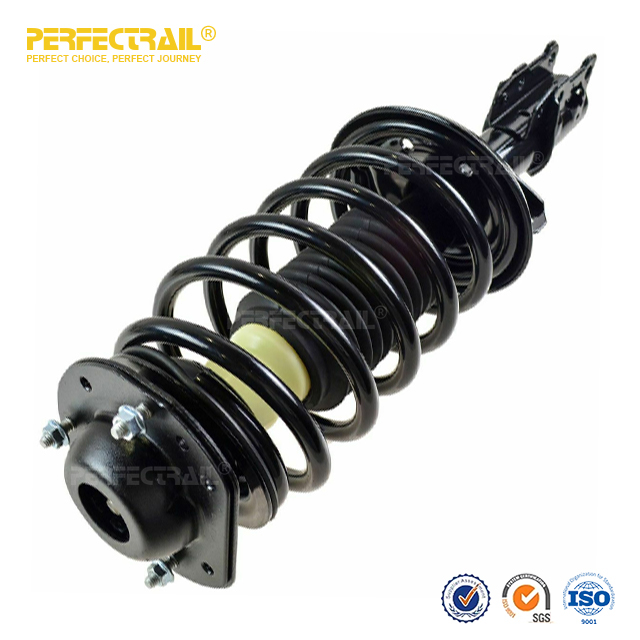 PERFECTRAIL® 172179L 172179R Suspensión delantera automática y conjunto de muelle helicoidal para Pontiac Pursuit 2005-2006