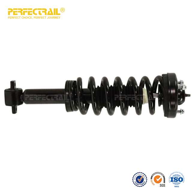 PERFECTRAIL® 172652L 172652R Auto Strut and Coil Spring Assembly para Ford F150 2014-