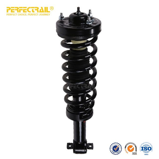 PERFECTRAIL® 172651L 172651R Auto Strut and Coil Spring Assembly para Ford F150 2014-