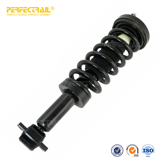 PERFECTRAIL® 272651L 272651R Auto Strut and Coil Spring Assembly para Ford F150 2014-